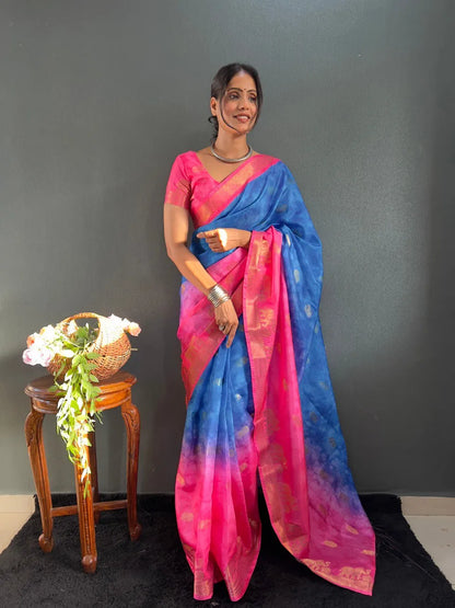 Traditional Handloom Saree with Contrast Pallu