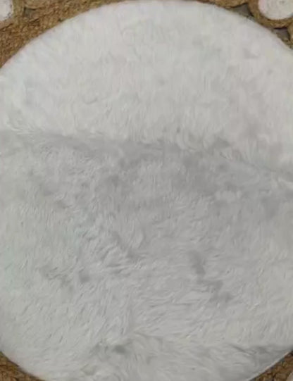 Luxurious Designer Space Silk with Beads worK